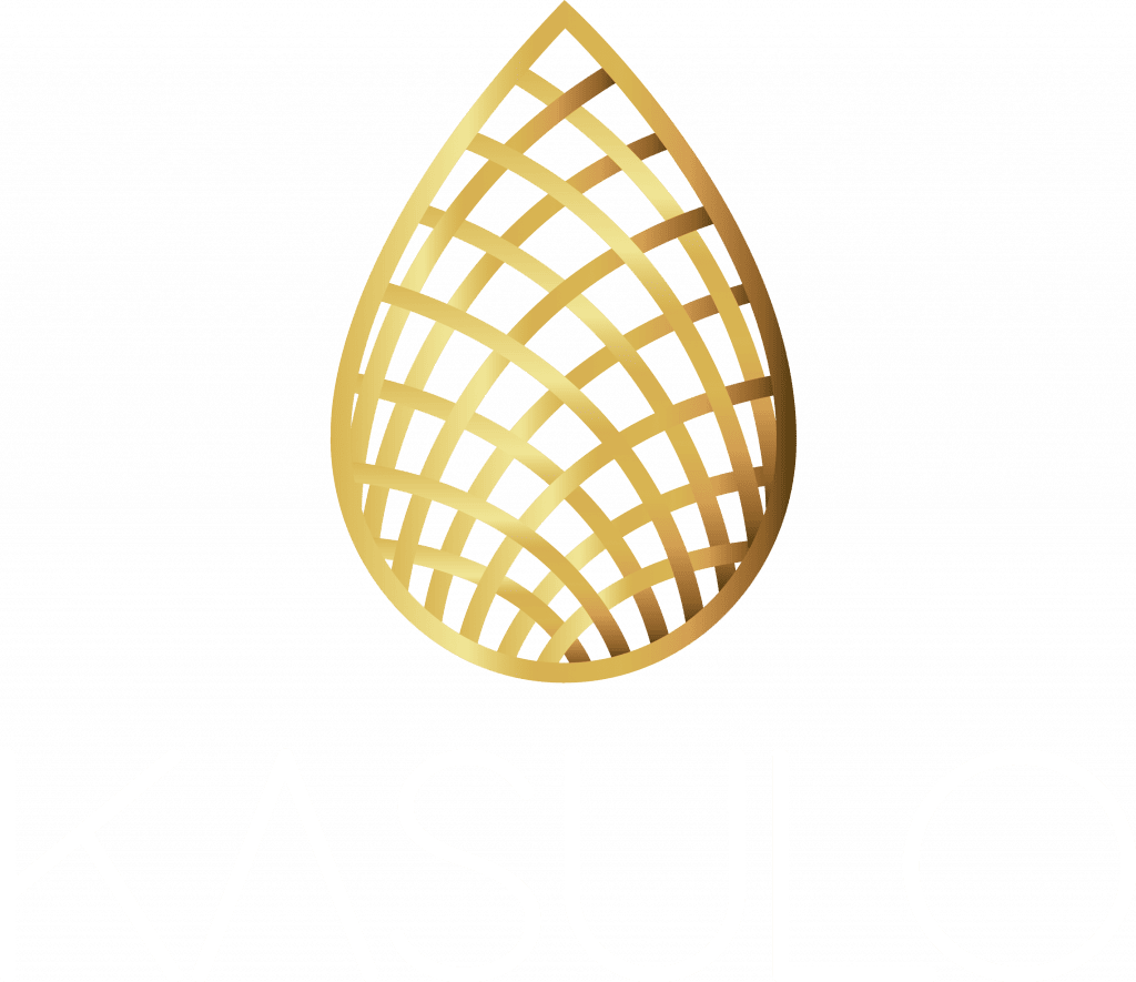 logo sem fundo para fundo escuro min 1024x885 1 Kasulo crédito habitação imóveis
